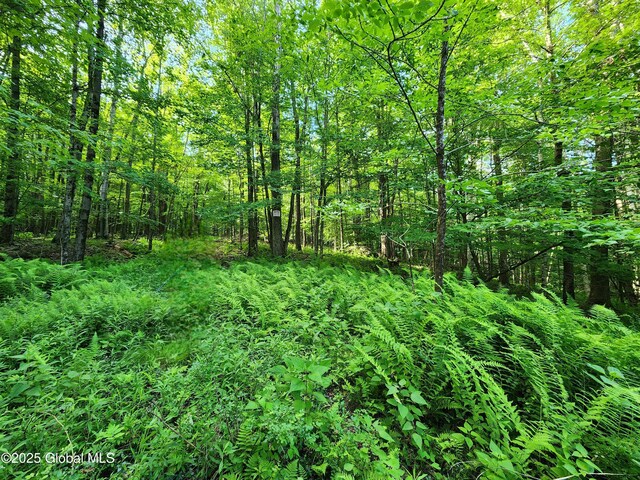 140 Roaser Rd, Sand Lake, NY 12153 - photo 8