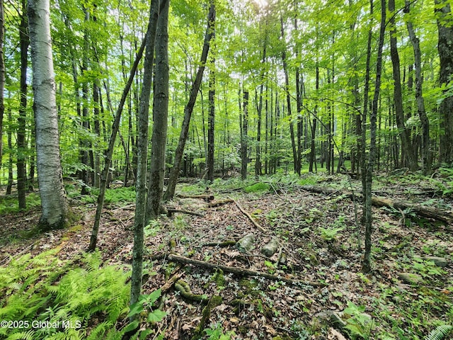 140 Roaser Rd, Sand Lake, NY 12153 - photo 9