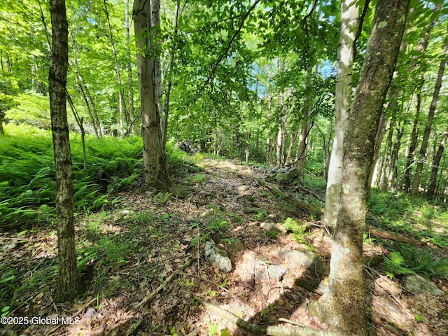 140 Roaser Rd, Sand Lake, NY 12153 - photo 10