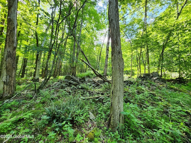 140 Roaser Rd, Sand Lake, NY 12153 - photo 11