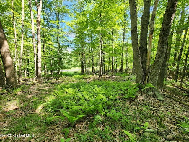 140 Roaser Rd, Sand Lake, NY 12153 - photo 12