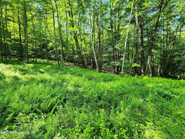140 Roaser Rd, Sand Lake, NY 12153 - photo 13