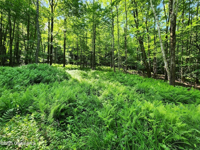140 Roaser Rd, Sand Lake, NY 12153 - photo 14
