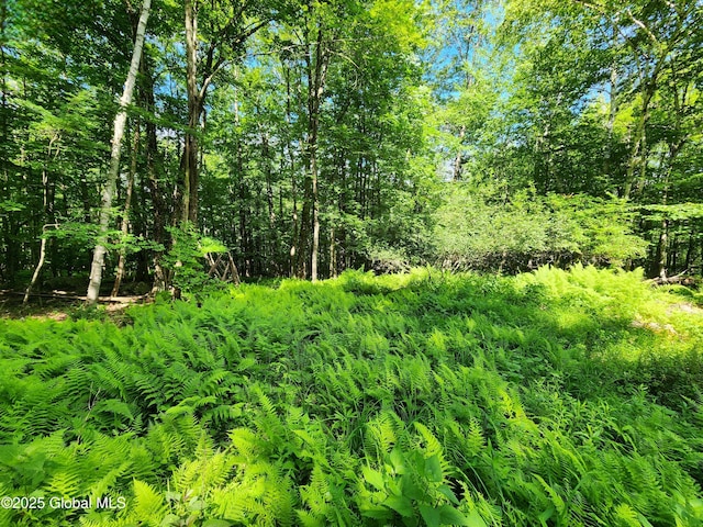 140 Roaser Rd, Sand Lake, NY 12153 - photo 15