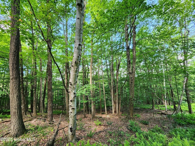 140 Roaser Rd, Sand Lake, NY 12153 - photo 18