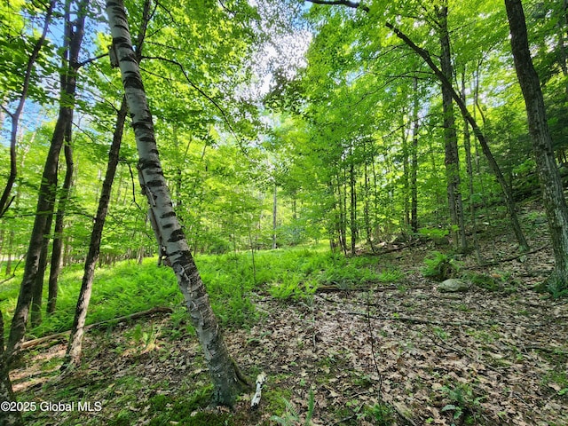 140 Roaser Rd, Sand Lake, NY 12153 - photo 20