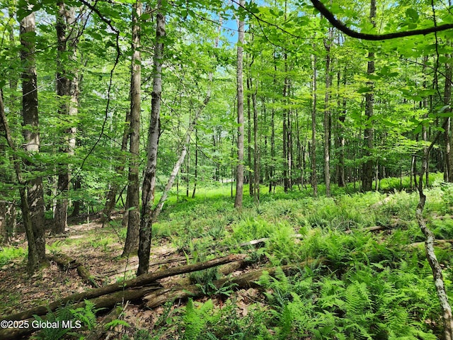 140 Roaser Rd, Sand Lake, NY 12153 - photo 22