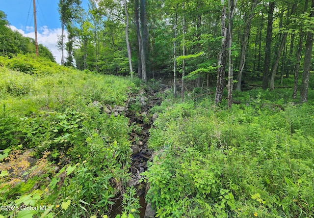 140 Roaser Rd, Sand Lake, NY 12153 - photo 24