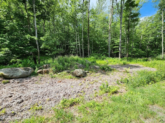 140 Roaser Rd, Sand Lake, NY 12153 - photo 25