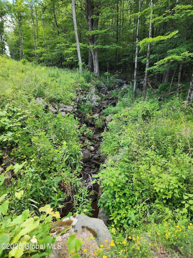 140 Roaser Rd, Sand Lake, NY 12153 - photo 23