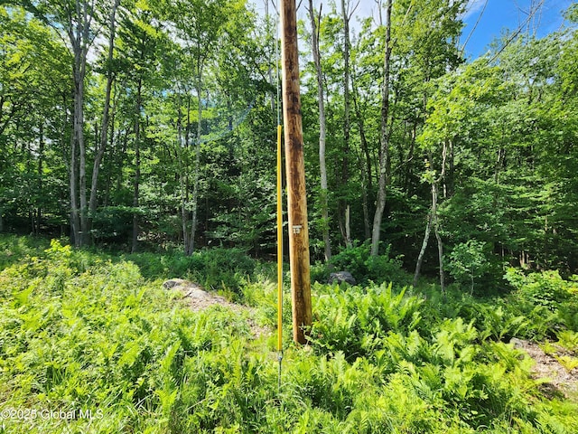 140 Roaser Rd, Sand Lake, NY 12153 - photo 26