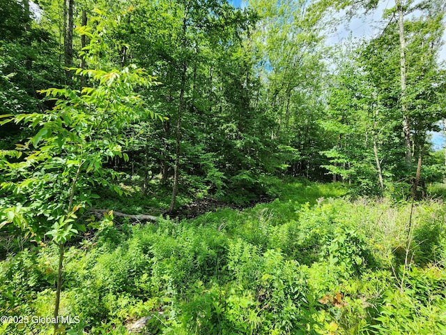 140 Roaser Rd, Sand Lake, NY 12153 - photo 27