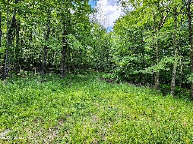140 Roaser Rd, Sand Lake, NY 12153 - photo 29