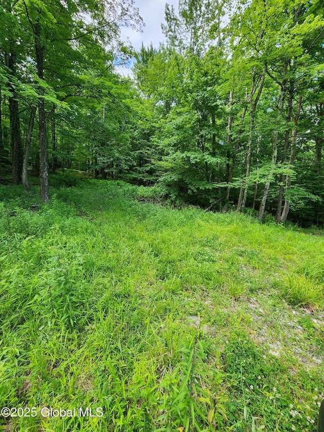 140 Roaser Rd, Sand Lake, NY 12153 - photo 28