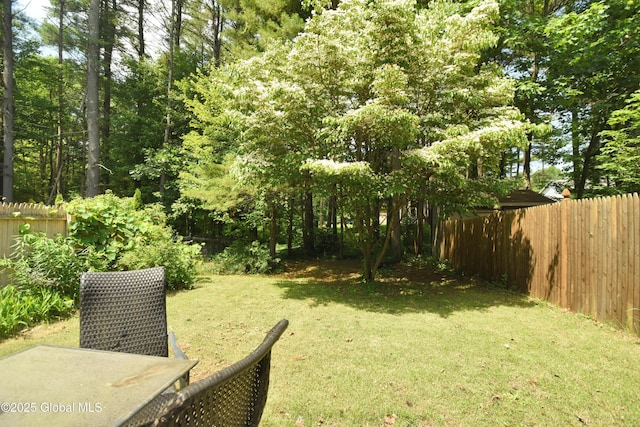 1B Scotch Mist Way, Malta, NY 12020 - view of yard