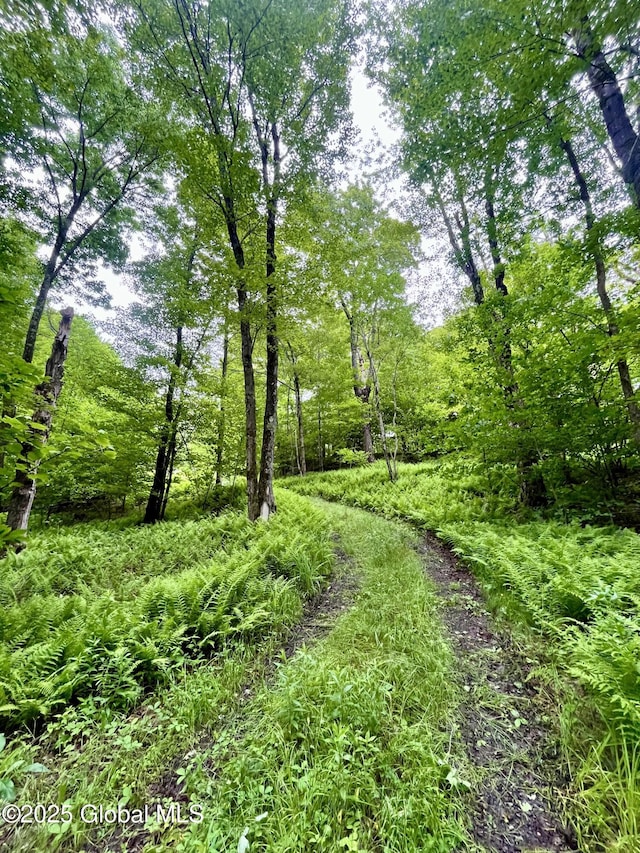 2285 State Route 10, Jefferson, NY 12093 - photo 4