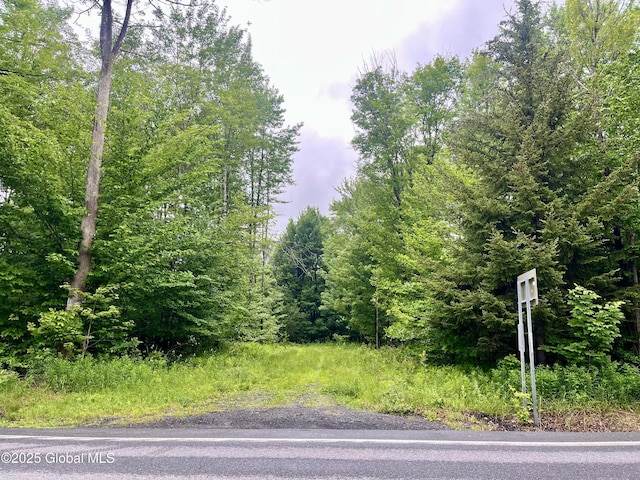 2285 State Route 10, Jefferson, NY 12093 - photo 15