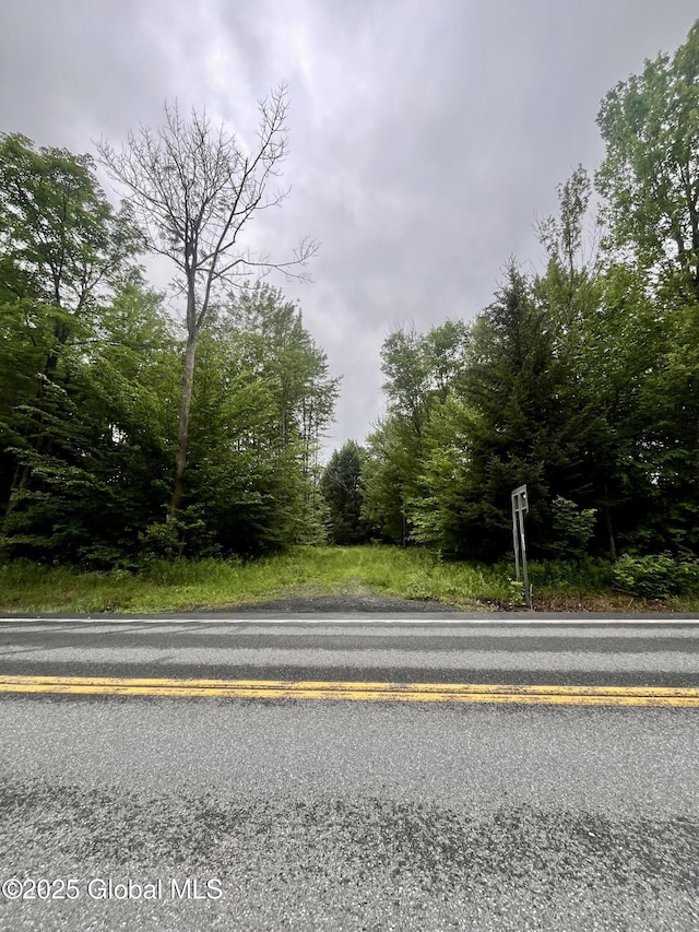 2285 State Route 10, Jefferson, NY 12093 - photo 16