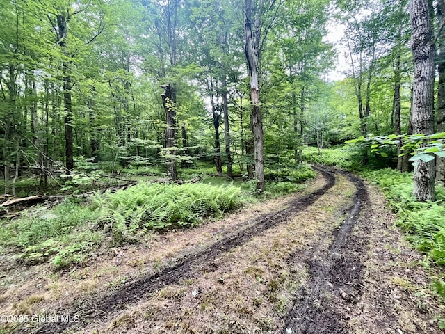 2285 State Route 10, Jefferson, NY 12093 - photo 2