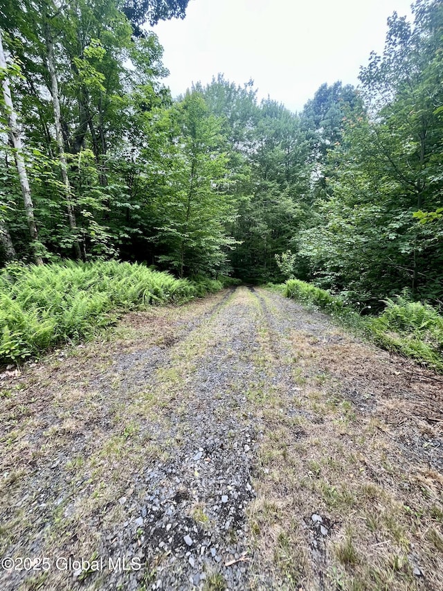 2285 State Route 10, Jefferson, NY 12093 - photo 3
