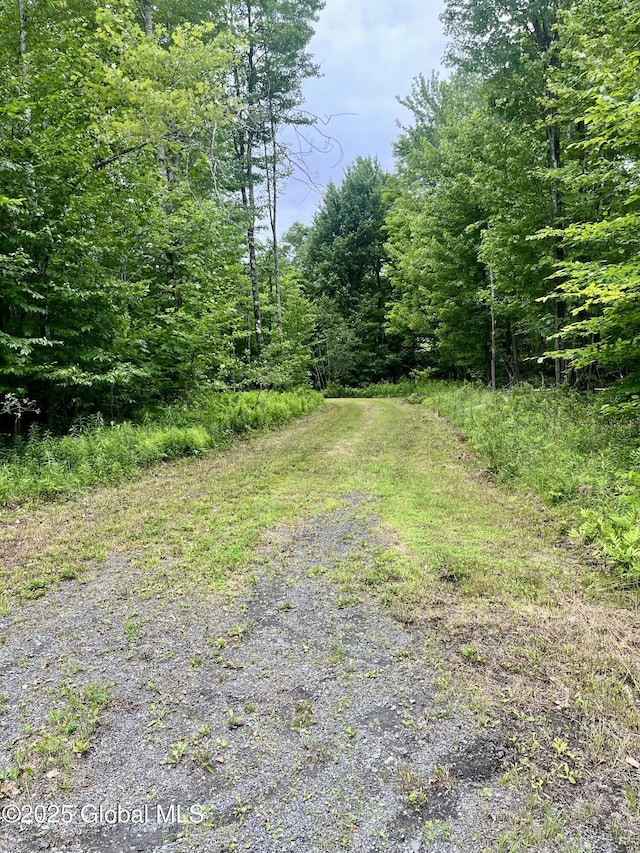 2285 State Route 10, Jefferson, NY 12093 - photo 1