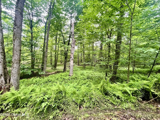 2285 State Route 10, Jefferson, NY 12093 - photo 5