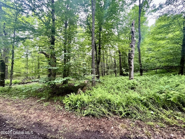 2285 State Route 10, Jefferson, NY 12093 - photo 6