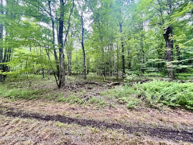 2285 State Route 10, Jefferson, NY 12093 - photo 7