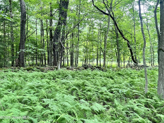 2285 State Route 10, Jefferson, NY 12093 - photo 8