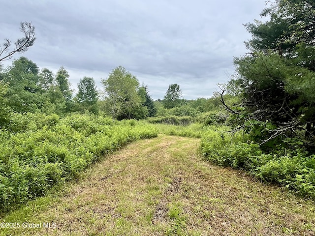 2285 State Route 10, Jefferson, NY 12093 - photo 10