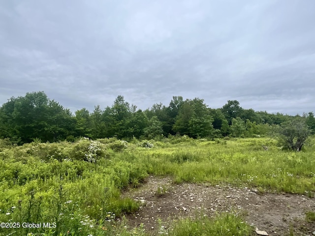 2285 State Route 10, Jefferson, NY 12093 - photo 11