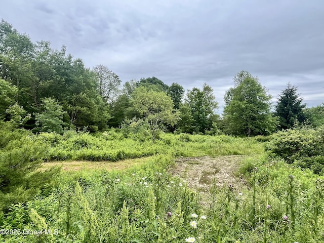2285 State Route 10, Jefferson, NY 12093 - photo 12