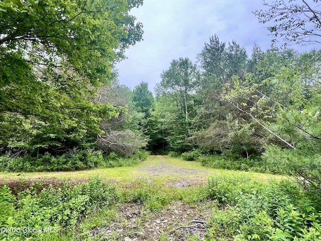 2285 State Route 10, Jefferson, NY 12093 - photo 18