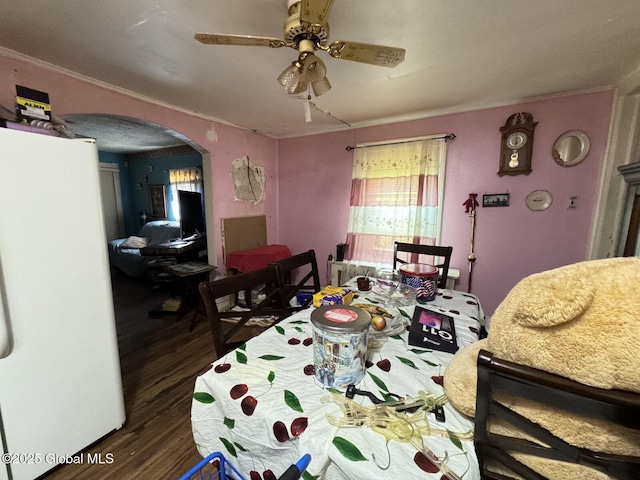 27 Sloan St, Albany, NY 12202 - dining space featuring arched walkways, wood finished floors, a ceiling fan, and ornamental molding