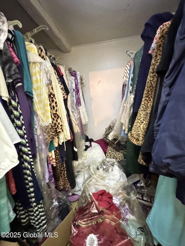 27 Sloan St, Albany, NY 12202 - view of walk in closet