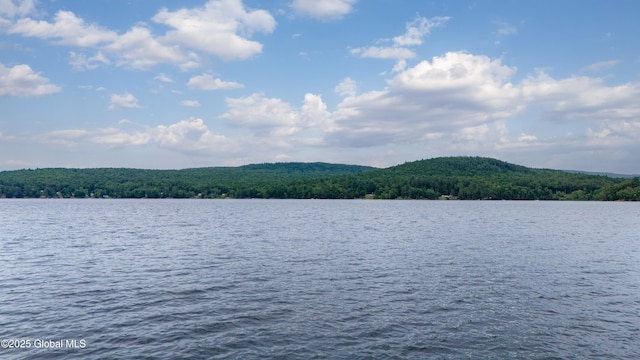 L2 N Shore Rd, Day, NY 12835 - photo 2