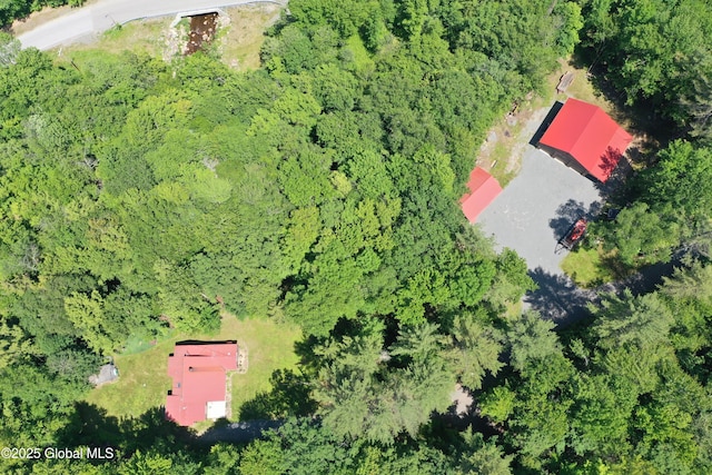 469 Military Rd, Edinburg, NY 12134 - drone / aerial view of a heavily wooded area