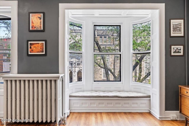218 Lancaster St, Albany, NY 12210 - detailed view of radiator and wood finished floors