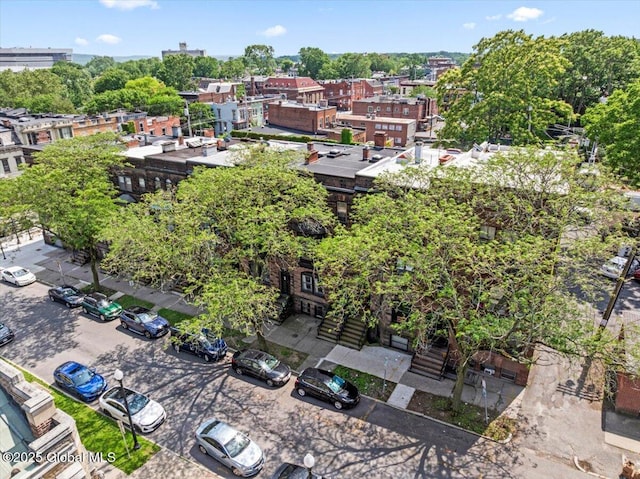 218 Lancaster St, Albany, NY 12210 - drone / aerial view of a tree filled landscape