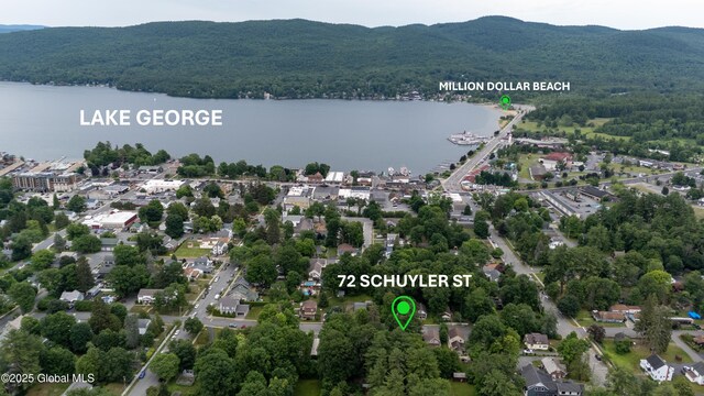 72 Schuyler St, Lake George Village, NY 12845 - photo 53