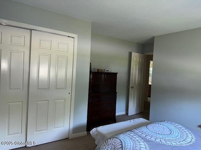 12 Bain Dr, Bethlehem, NY 12054 - bedroom with a closet and carpet flooring