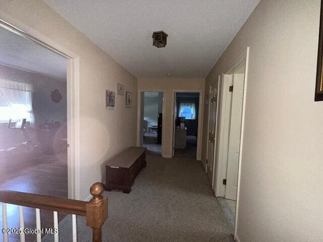 12 Bain Dr, Bethlehem, NY 12054 - corridor with light colored carpet