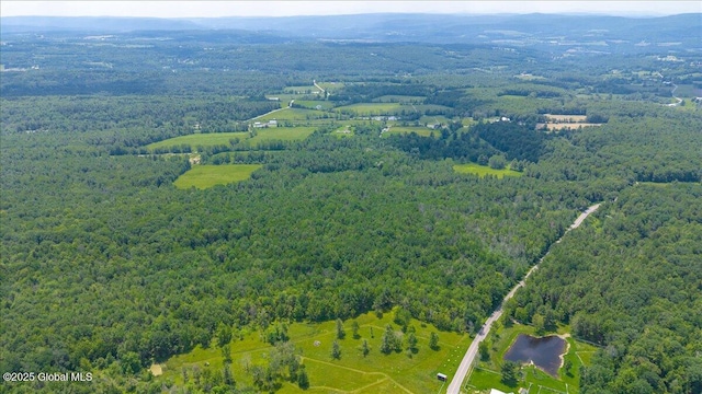 003.22 Larry Hill Rd, Wright, NY 12053 - photo 6