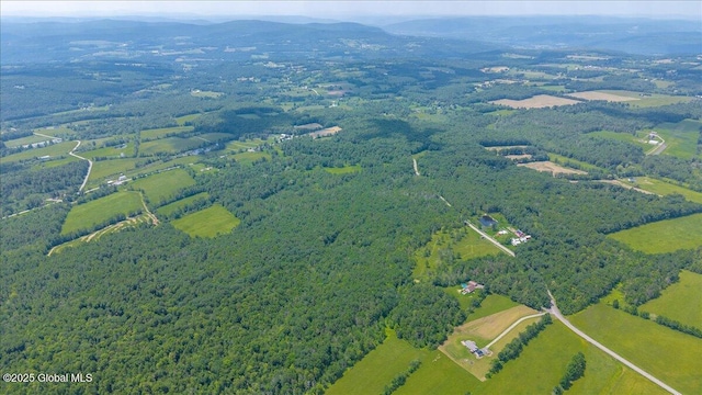 003.22 Larry Hill Rd, Wright, NY 12053 - photo 7