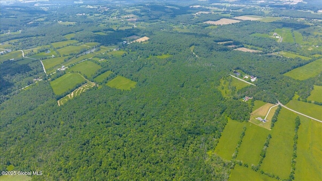 003.22 Larry Hill Rd, Wright, NY 12053 - photo 8