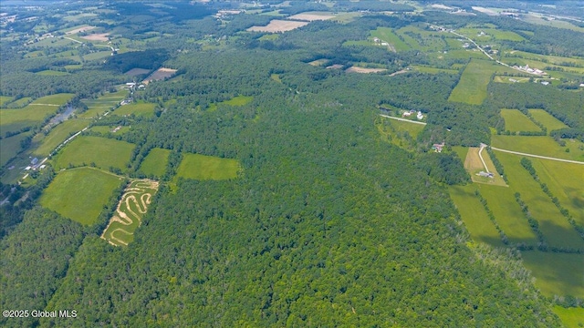 003.22 Larry Hill Rd, Wright, NY 12053 - photo 9