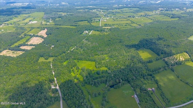 003.22 Larry Hill Rd, Wright, NY 12053 - photo 13