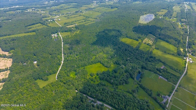 003.22 Larry Hill Rd, Wright, NY 12053 - photo 5