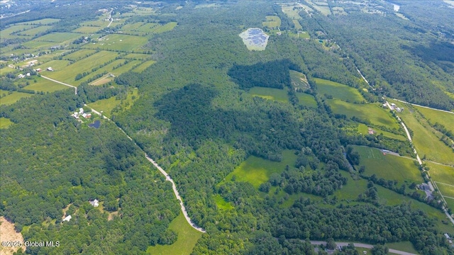 003.22 Larry Hill Rd, Wright, NY 12053 - photo 4