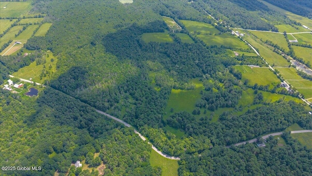 003.22 Larry Hill Rd, Wright, NY 12053 - photo 3